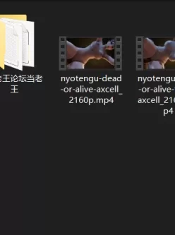 [自行打包] AxcellSFM大佬的新作nyotengu（死或生的女天狗）4K 1币 [V2+136.74M][百度盘]